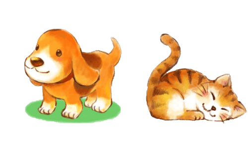 犬と猫
