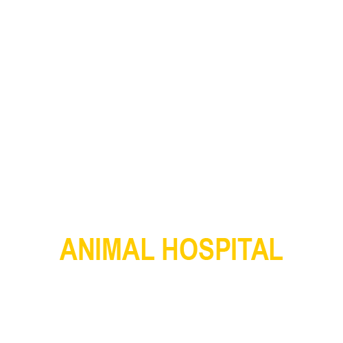 アイ動物病院